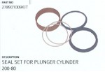 Seal Set for Plunger Cylinder 200-80